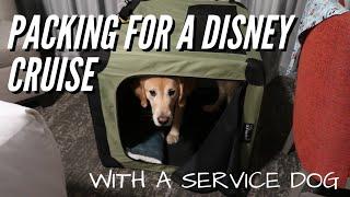 Packing for a DISNEY CRUISE with a SERVICE DOG