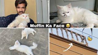 Ye Muffin Ne Face Pr Kya Kr Liya?  |Rehan & Max