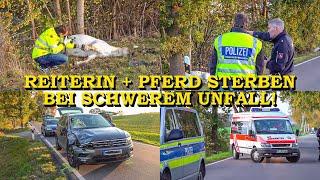 [REITERIN + PFERD STERBEN BEI HORROR-UNFALL] - Senior erfasst das Pferd auf Landstraße - | POLIZEI