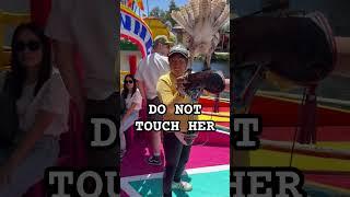 Don’t Touch Her !  #funnyshorts #memes #cuteanimals #cutedog #puppy #cruise #mexico