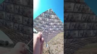 The $100 Bill Kite 🪁