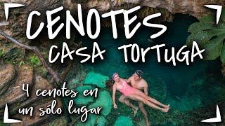 4 CENOTES TULUM $400 MXN  CENOTES CASA TORTUGA ► CENOTES baratos en Riviera Maya, Playa del Carmen