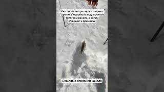 Настоящие рыбаки. Москва река #река #рыбаки #рыбак