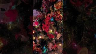 Merry Christmas from Mudbutt Jones