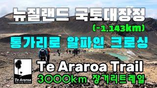 E12: 뉴질랜드 장거리트레일 | 테아라로아 | 통가리로 크로싱•42트래버스 | 42 Traverse to Tongariro(1042-1143km)