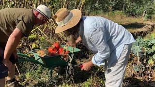 Beautiful Relaxing Days Harvesting and Planting