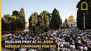 Muslim worshippers at Jerusalem's Al-Aqsa mosque compound gather for Eid prayers