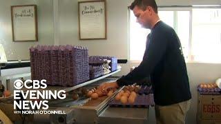 What is causing egg prices to skyrocket?