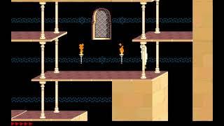 Prince of Persia 1989,1990 DOS game