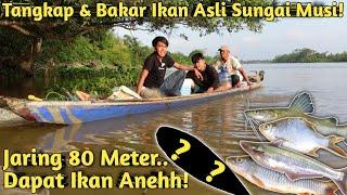 SEHARIAN NJARING, MANCING DAN BAKAR IKAN DI ALIRAN SUNGAI MUSI PART1