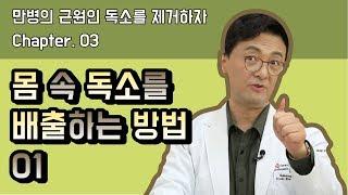 독소빼는법 / 독소배출 / 독소제거｜닥터쿡의 건강톡톡