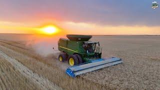 Western Nebraska Wheat Harvest 2024 | John Deere Combines