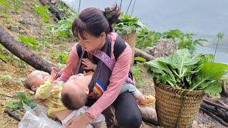 Warm two children and mother together - Harvesting green vegetables Going to the market to sell