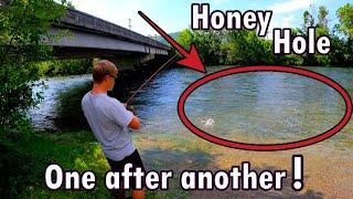 We Found the Honey Hole  (Watauga River)