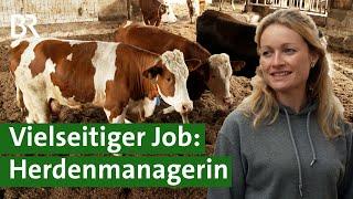 Rinderherde managen auf großem Betrieb: Von Klauenpflege bis Kälber enthornen | Unser Land | BR