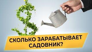 Сколько Зарабатывает Садовник? ЗАРАБОТОК САДОВНИКА Сколько стоит работа садовника?