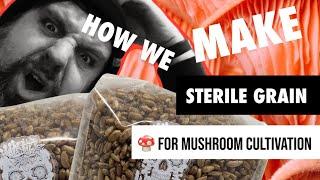 How to make sterile rye grain for mushroom cultivation