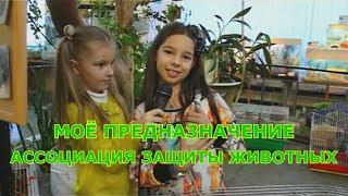 Моё предназначение - Ассоциация защиты животных