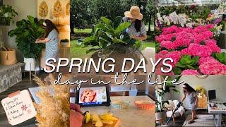 SPRING VLOG: spring DIY, bookstore, new plant, baking & tidying the home #spring2024 #springvlog