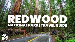 REDWOOD NATIONAL PARK Travel Guide