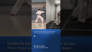 Pinan 1 Full Kata Bunkai Teaser #karate #fighting #patreon #martialarts #technique #tutorial