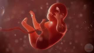  Pregnancy music for unborn baby  Brain development  Deep water sound - Nature 