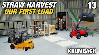 PELLETING AND PALLETISING | Krumbach | Farming Simulator 22 - Episode 13