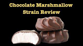 Chocolate Marshmallow Weed Strain Review