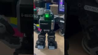 Isobot Karate