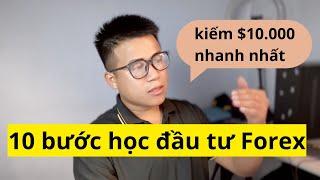 10 Bước Học Đầu Tư Forex Cho Người Mới