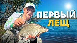  ЛЕЩ ПРОСНУЛСЯ ️ Рыбалка в Киеве  Рыбалка 2024