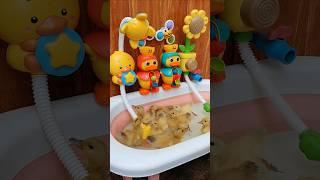 Relaxing Cute Ducky Waterwheel happy  #duck #short