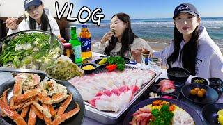 Living in Donghae for a month? Great restaurant with a crazy view!ㅣDojjaebigolㅣHamzy Vlog