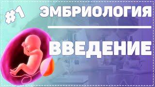 Эмбриология / Введение / ГИСТОЛОГИЯ ЧЕЛОВЕКА