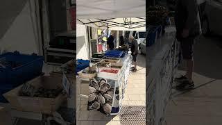 Бизнес во Франции - откроем для вас бизнес за 7 дней