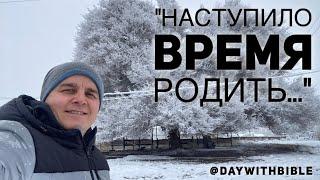 "Наступило время родить..." Пётр Плеханов, церковь "Yangi Hayot" 25.12.22 в 19:00