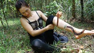 Surviving in the bamboo forest-Bitten by poisonous centipedes - Monk alive threatened - Ngân Daily