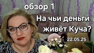 На чьи деньги живёт Куча?