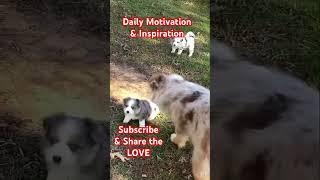 Daily Motivation & Inspiration ️ Someone Needs To Hear This Today #motivation #inspiration #quotes