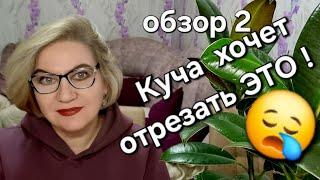 Куча хочет отрезать ЭТО 