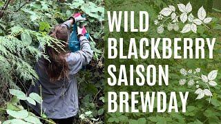 Wild Blackberry Saison Brewday