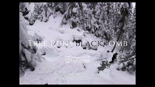 Snowboarding, Tree Runs, Whistler, March 1st, 2024