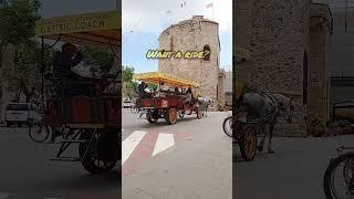 Tourists Tour #everyone #italy #tour #history #alghero