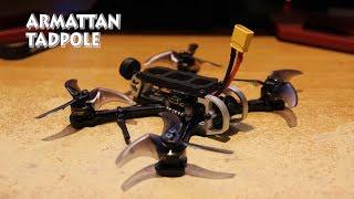 ARMATTAN TADPOLE 2.5" - First Flights - Quick PIDS Testing