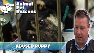 The SPCA Battles to Save this Neglected Puppy | Mini Episode | Animal House