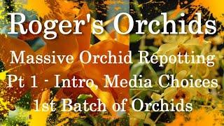 Massive Orchid Repotting - Pt 1 Introduction, Media Choices, 1st Batch of Orchids