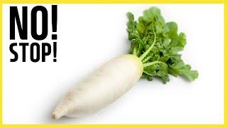 If you cook radish, you'll definitely fail. Why is that?