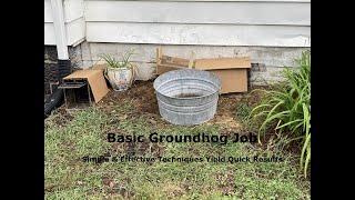 Quick, Uncomplicated Groundhog Trapping | Simple, Effective Woodchuck Removal