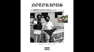 Wazir patar- Notorious (Official Video)