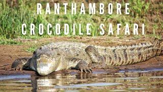 Ranthambore Crocodile Safari | Pali Ghat | Chambal River | Gharial Safari | Chambal Safari | Chambal